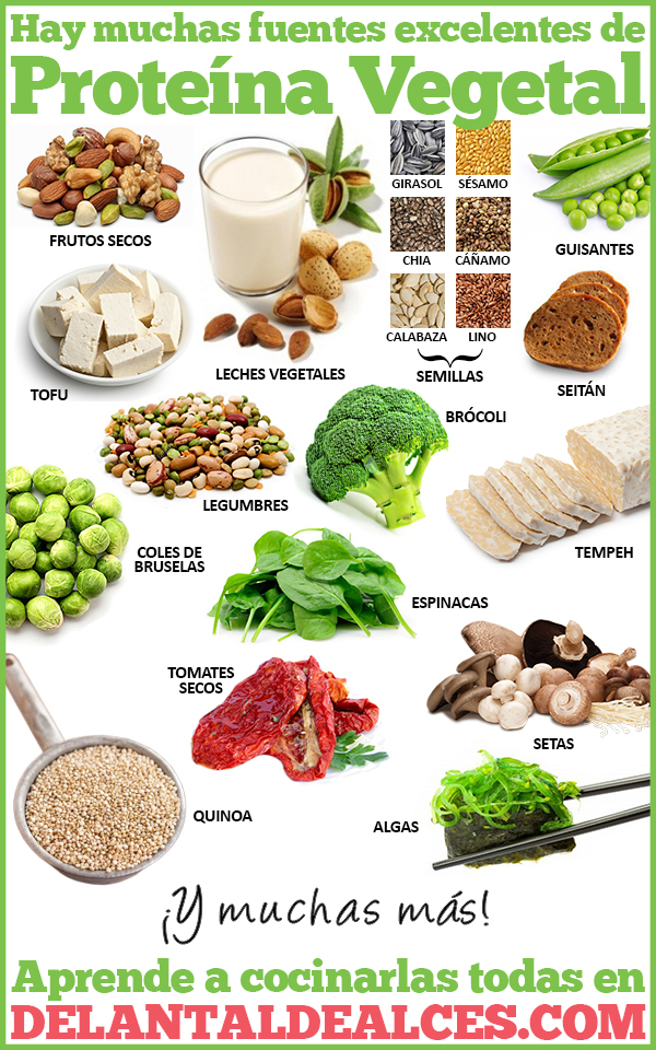 Alimentos con proteína vegetal
