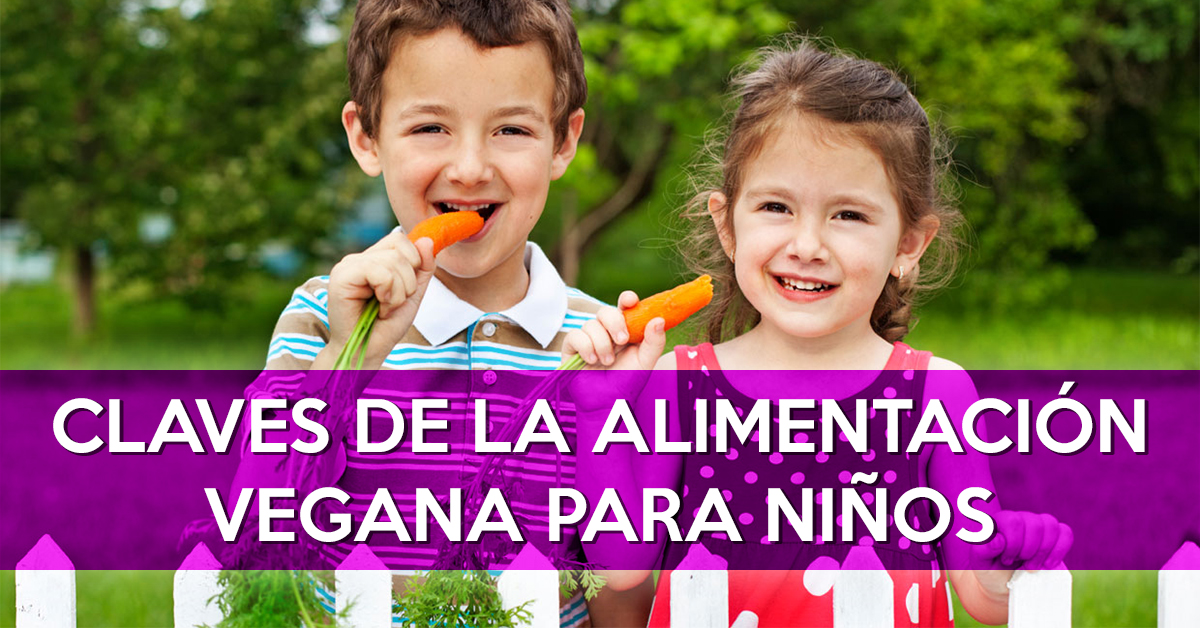 Alimentación Vegana Para Niños Delantal De Alces 2583