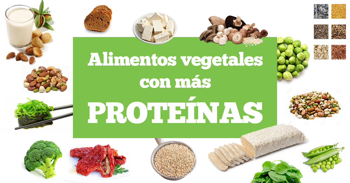 Alimentos vegetales con más proteínas
